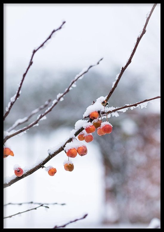 Poster Winter Appeltje - 30x40 cm - Kerst Poster - WALLLL