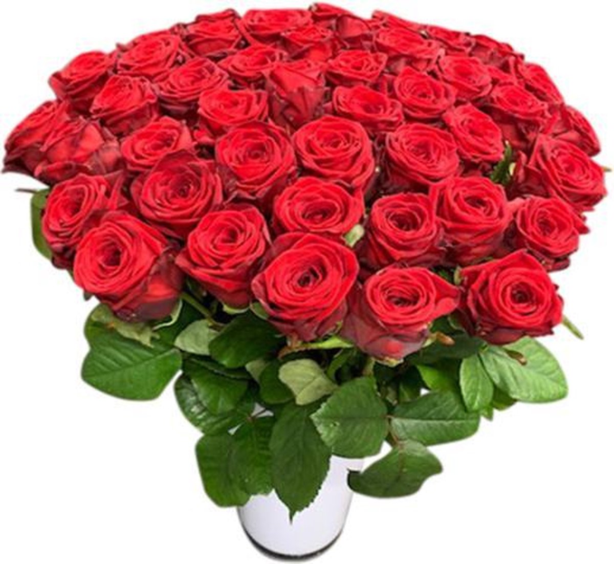 50 rode rozen boeket in vaas | bol.com