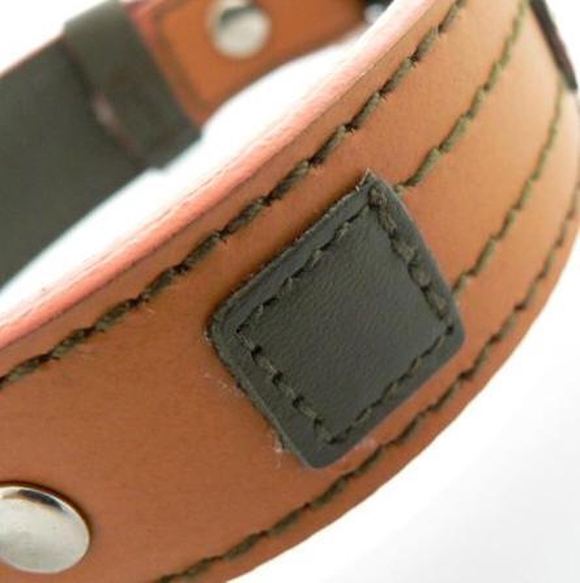 Halsband voor de hond Bentley Halsmaat: 24-28 cm