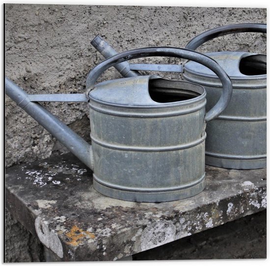 Moderne Wanddecoratie met Gieters