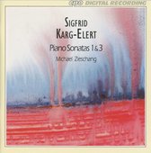 Sigfrid Karg-Elert: Piano Sonatas 1 & 3
