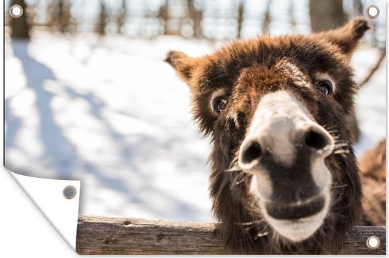 Curious chevalet affiche de jardin en vrac 120x80 cm - Toile de jardin / Toile d'extérieur / Peintures pour l'extérieur (décoration de jardin)