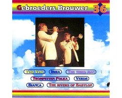 Gebroeders Brouwer (Regenboog Serie 36)