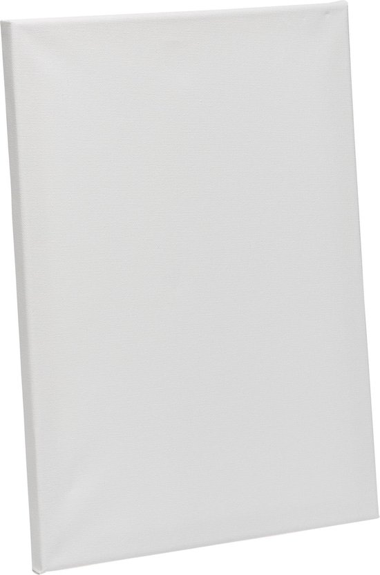 1x Canvas/schildersdoeken 40 x 30 cm Hobby/knutselmateriaal