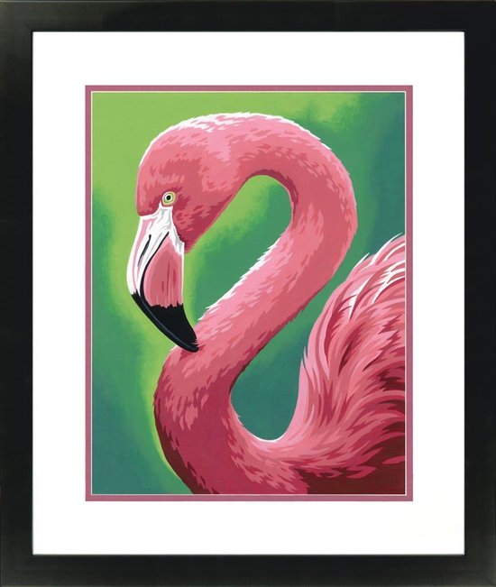 Flamingo Schilderen op nummer | bol.com