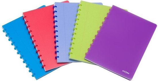 Een rij van vijf ringbanden in de kleuren blauw, rood, lichtblauw, groen en paars.