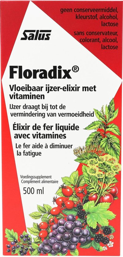 meesterwerk Geld lenende Smeltend Salus Floradix IJzer-elixir – Bij vermoeidheid – Voedingssupplement met  ijzer en... | bol.com