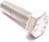 Zeskant bout M10 x 20 mm verzinkt 12 stuks (217920)