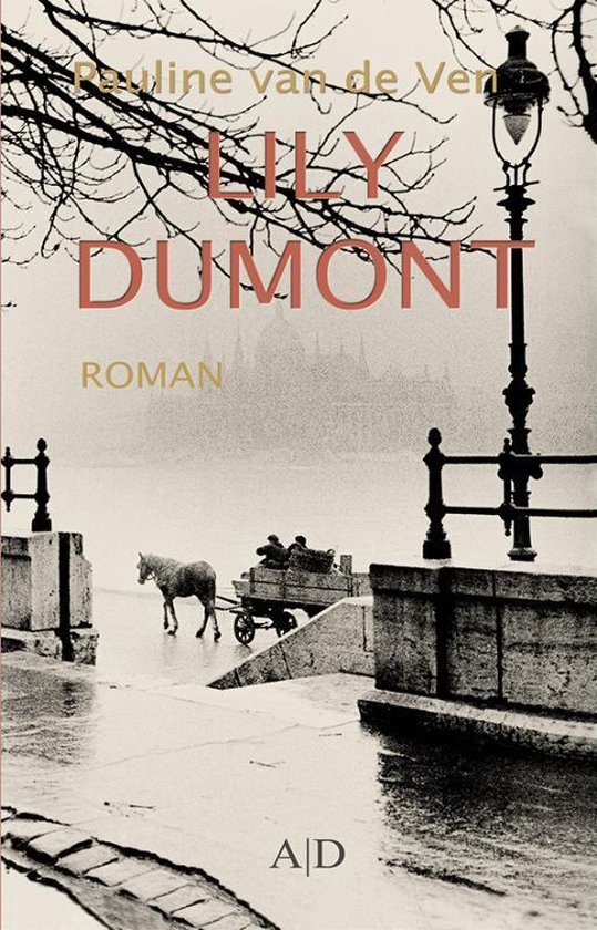 De familie Dumont 2 - Lily Dumont - cover