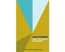 Omslag van Het huidige moment