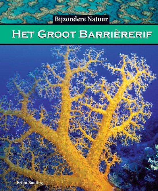 Het groot barrierrif