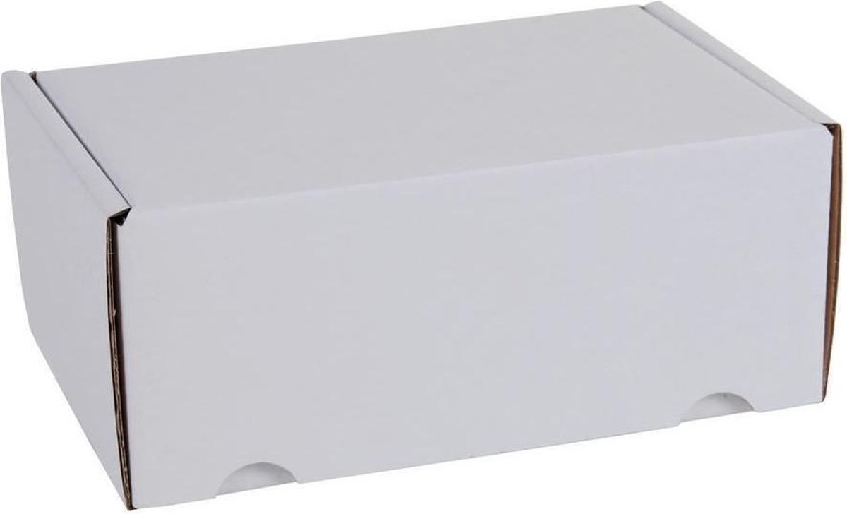 25 ecologische witte postdozen / verzenddozen 26x19x10cm