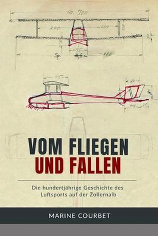 Vom Fliegen und Fallen - cover