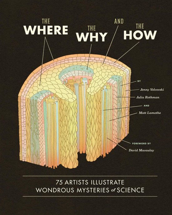 The Where, the Why, and the How - cover