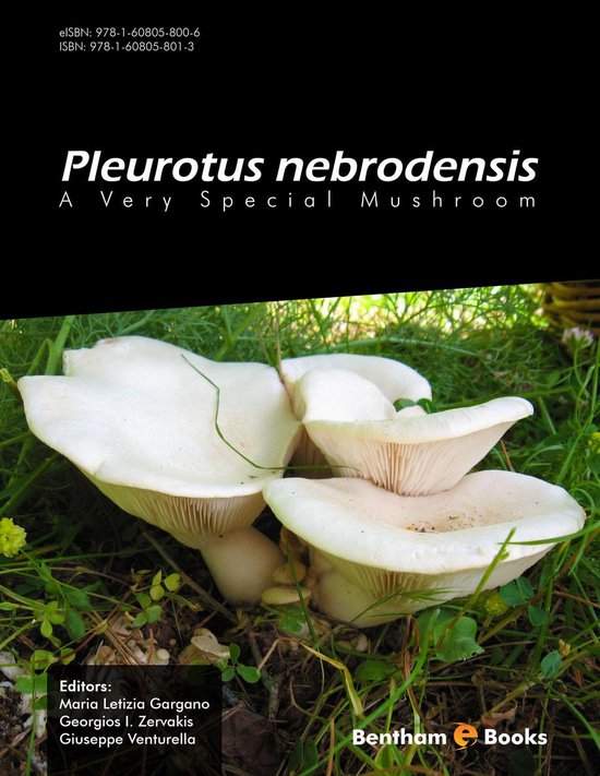 1 - Pleurotus Nebrodensis: A Very Special Mushroom