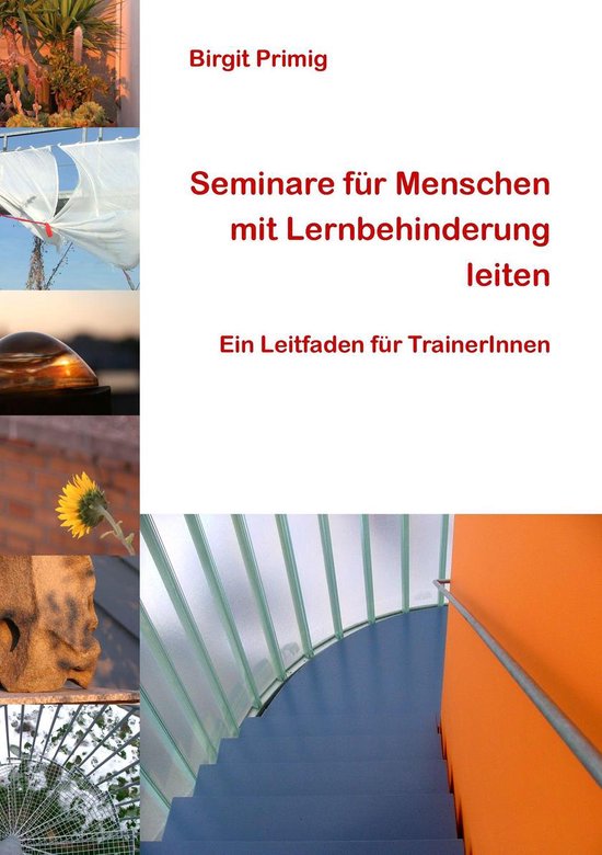 Seminare für Menschen mit Lernbehinderung leiten - cover