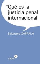 Qué es la justicia penal internacional