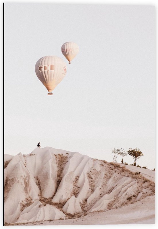 Dibond - Twee Luchtballonnen boven de Woestijn - 40x60cm Foto op Aluminium (Wanddecoratie van metaal)