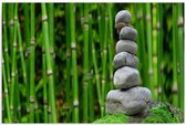 Schilderij - Bamboe bos met Zen stenen, groen