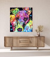 JDBOS ® Schilderen op nummer Volwassenen met frame (hout) - Gekleurde hond - Colorful dog - Verven volwassenen - 40x50 cm