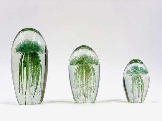 pedaal Moedig Uitgestorven Oneiro's luxe groene kwal in glas - 21 cm hoogte x 10 cm - decoratie -  dieren -... | bol.com