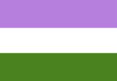 Vlag - Sticker - Queer vlag - Regenboog - Genderqueer - Gay - LGBT