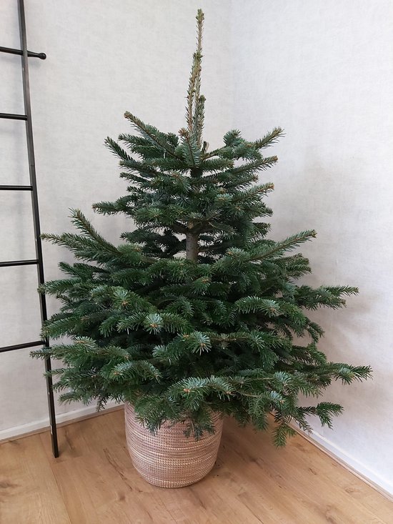 Kerstboom mand goud - bruin , houten wasmand-decoratie mand - opbergbox |  bol.com