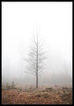 Poster Foggy Tree - 30x40 cm Met Fotolijst - Poster Natuur - WALLLL