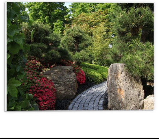 Forex - Tuin met Bomen en Stenen  - 40x30cm Foto op Forex