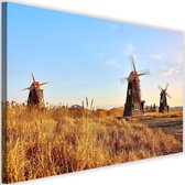 Schilderij Nederlandse molens, 2 maten, bruin/blauw, Premium print