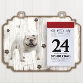 Scheurkalender 2023 Hond: Amerikaanse Bully