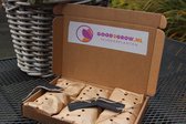 Brievenbus cadeautje  bloembollen Crocus (Krokus) 75 bollen,  (zomaar / verjaardag / vader / moeder / opkikkertje)