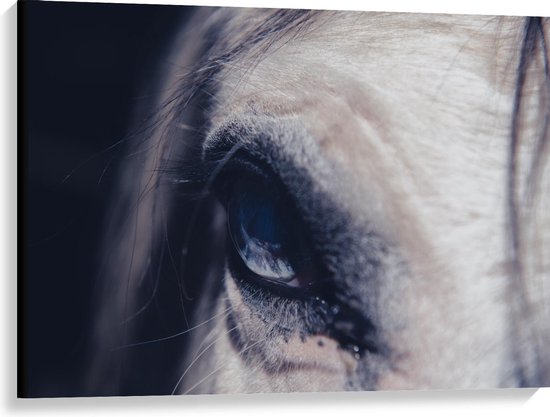 Canvas  - Oog van Wit Paard - 100x75cm Foto op Canvas Schilderij (Wanddecoratie op Canvas)