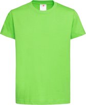 Stedman Kinderen/Kinderen Klassiek Biologisch T-Shirt (Kiwi)