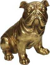 Ornament Engelse Bulldog - Beeld Hond - Goud - 23.2 X 16.7 X 26 - Polyresin