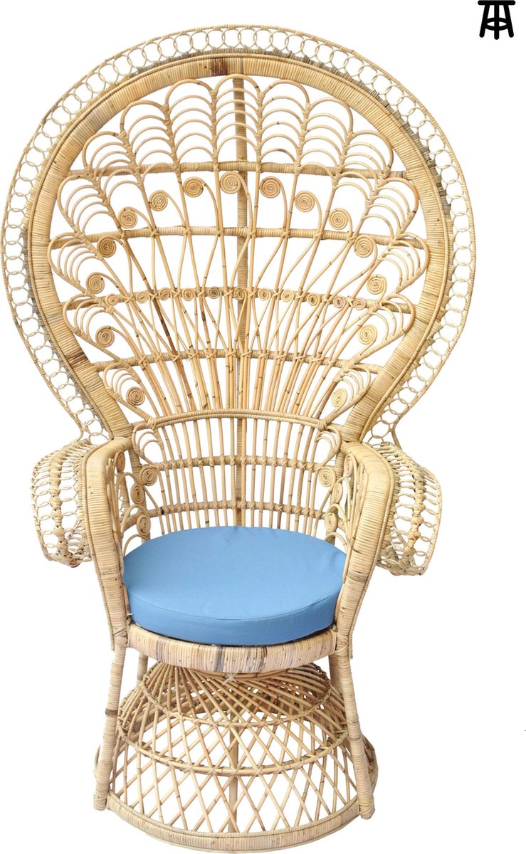 Snel Dageraad Draad Rotan Pauw stoel - Pauwenstoel - Peacock chair | bol.com