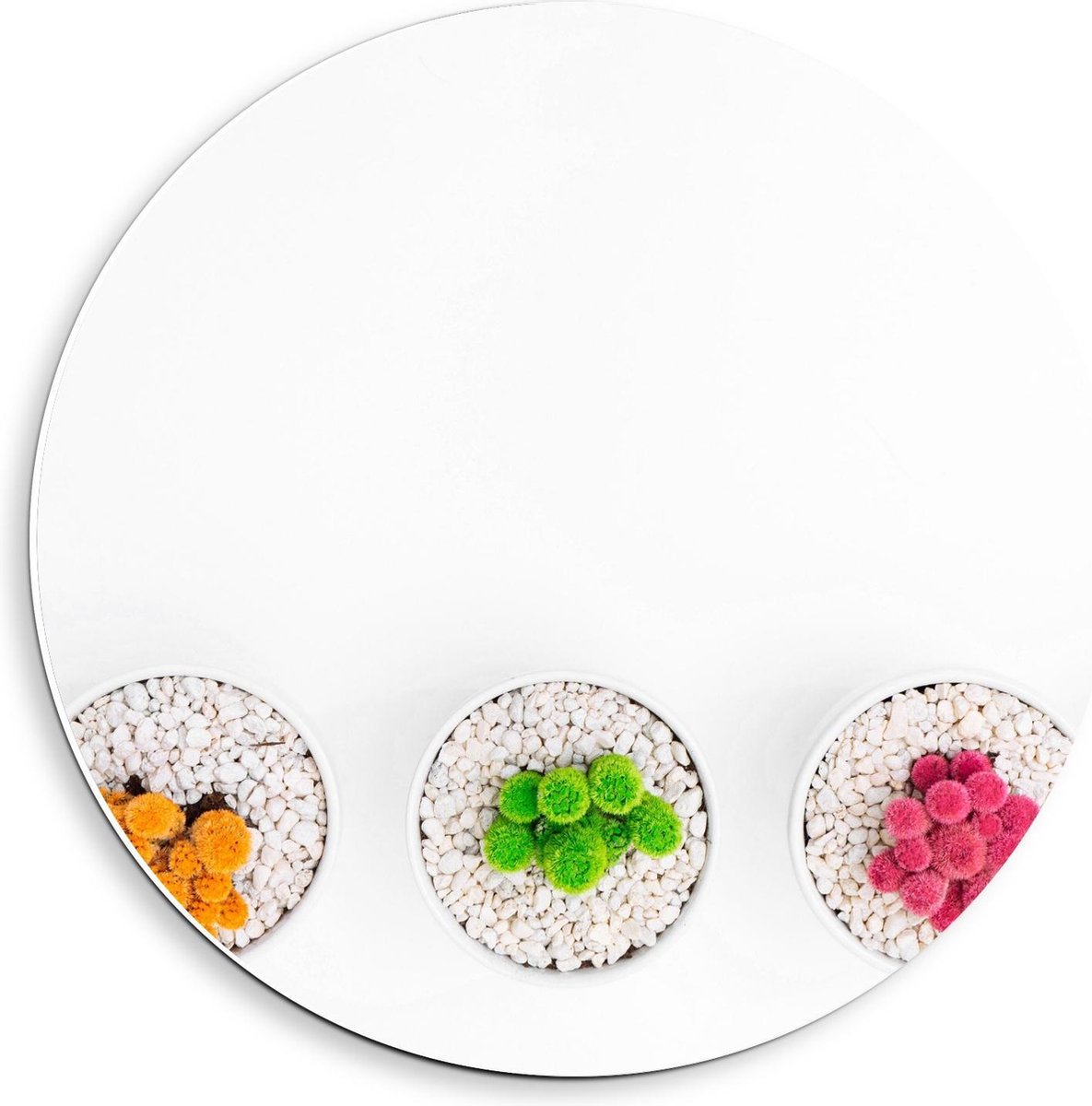 Forex Wandcirkel - Gekleurde Cactuspotjes - 40x40cm Foto op Wandcirkel (met ophangsysteem)