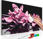 Doe-het-zelf op canvas schilderen - Roze Orchidee 60x40 ,  Europese kwaliteit, cadeau idee