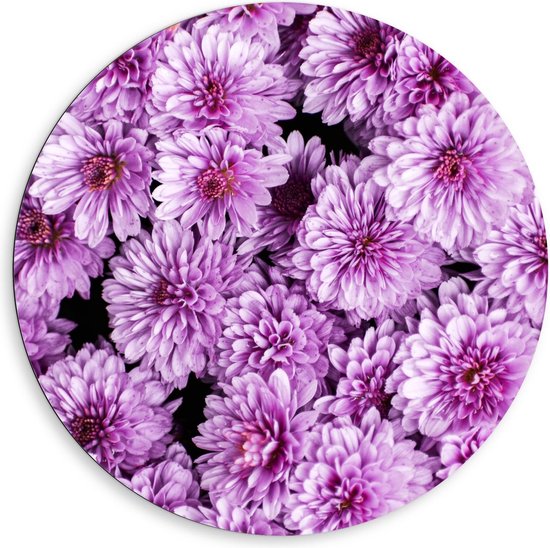 Dibond Wandcirkel - Roze Bloemen met Zwarte Achtergrond - 80x80cm Foto op Aluminium Wandcirkel (met ophangsysteem)