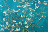 Vincent Van Gogh Almond Blossom San Remy 1890 Poster 91.5x61cm