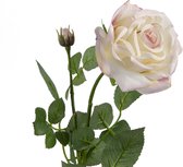 Fabulous Flowers - 2,0 sts zijden roos Lily wit/roze Ø 11 cm / 70 cm - klassieke kunstroos