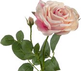 Fabulous Flowers - 3,0 sts zijden roos Lily peach/pink Ø 11 cm / 70 cm - klassieke kunstroos