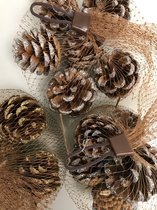 Decoratieve dennenappels met glitters set 3 stuks - naturel