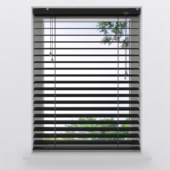 Vermoorden Mus Paradox Aluminium Jaloezie Easy Matte - 50 mm - Black - 70 x 180 | bol.com