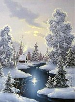 Diamond painting - Huisje in Winter - Hobby - Diamond schilderen - Volwassen - Kinderen - Stil leven - kerst - 20x30cm