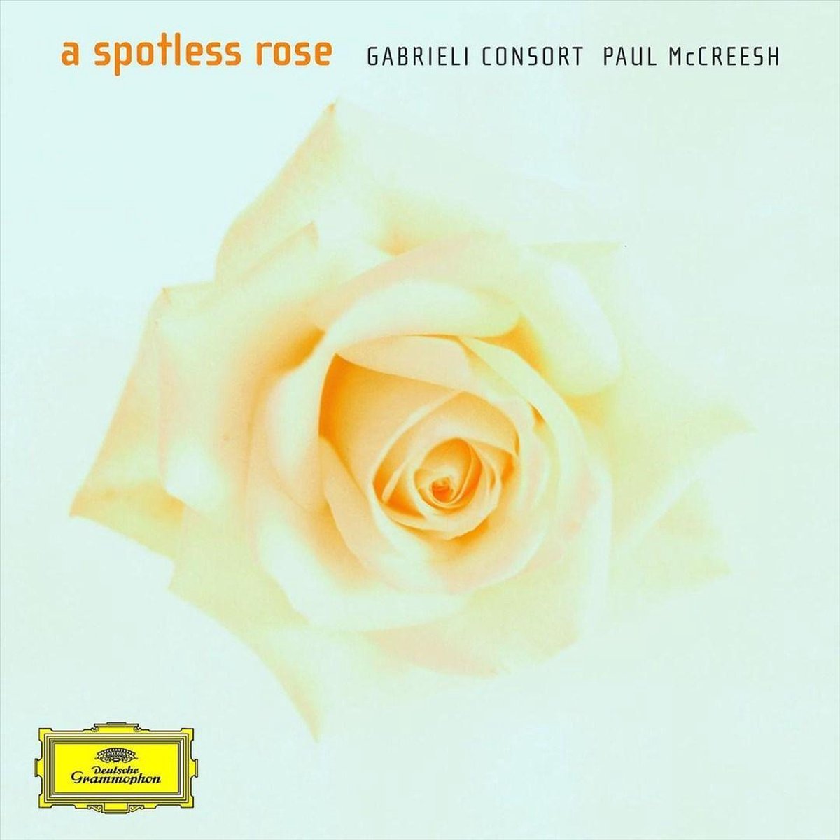 Spotless Rose