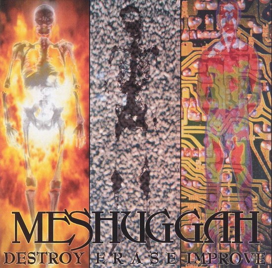 Destroy Erase Improve