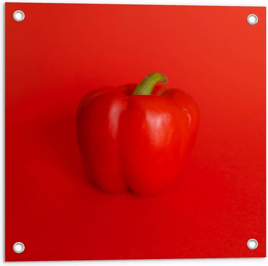 Tuinposter – Rode Paprika - 50x50cm Foto op Tuinposter  (wanddecoratie voor buiten en binnen)