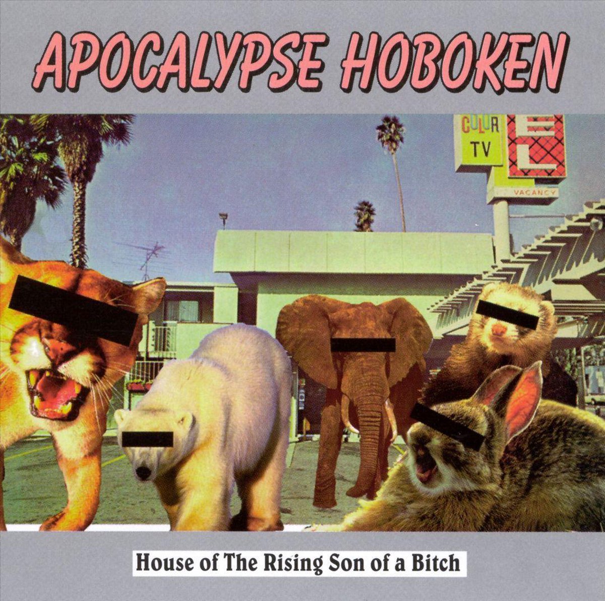 House Of The Rising Son Of A Bitch