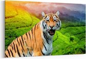 Schilderij - Siberische tijger — 100x70 cm